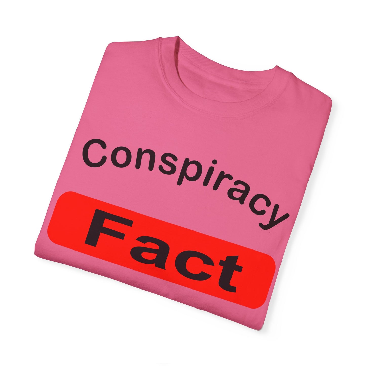 Unisex Garment-Dyed T-Shirt - 'Conspiracy Fact' Graphic Tee for Trendsetters