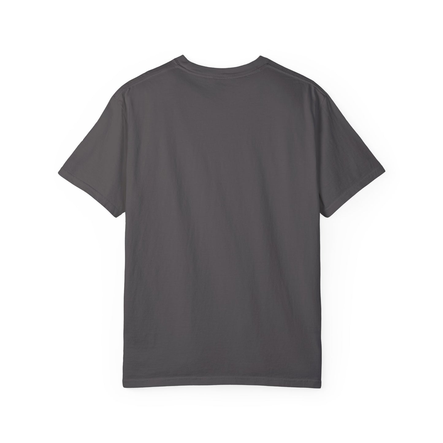 Company Ladder Unisex Garment-Dyed T-shirt - Motivational Tee for Career Growth