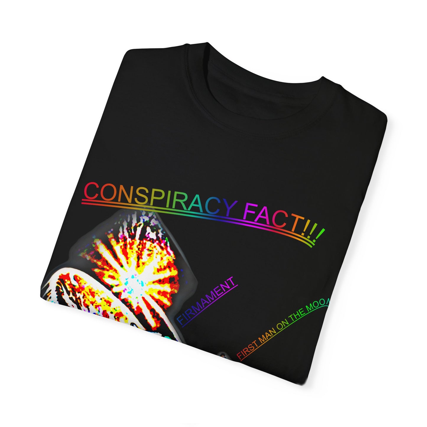 CONSPIRACY FACT FLAT EARTH Unisex Garment-Dyed T-shirt
