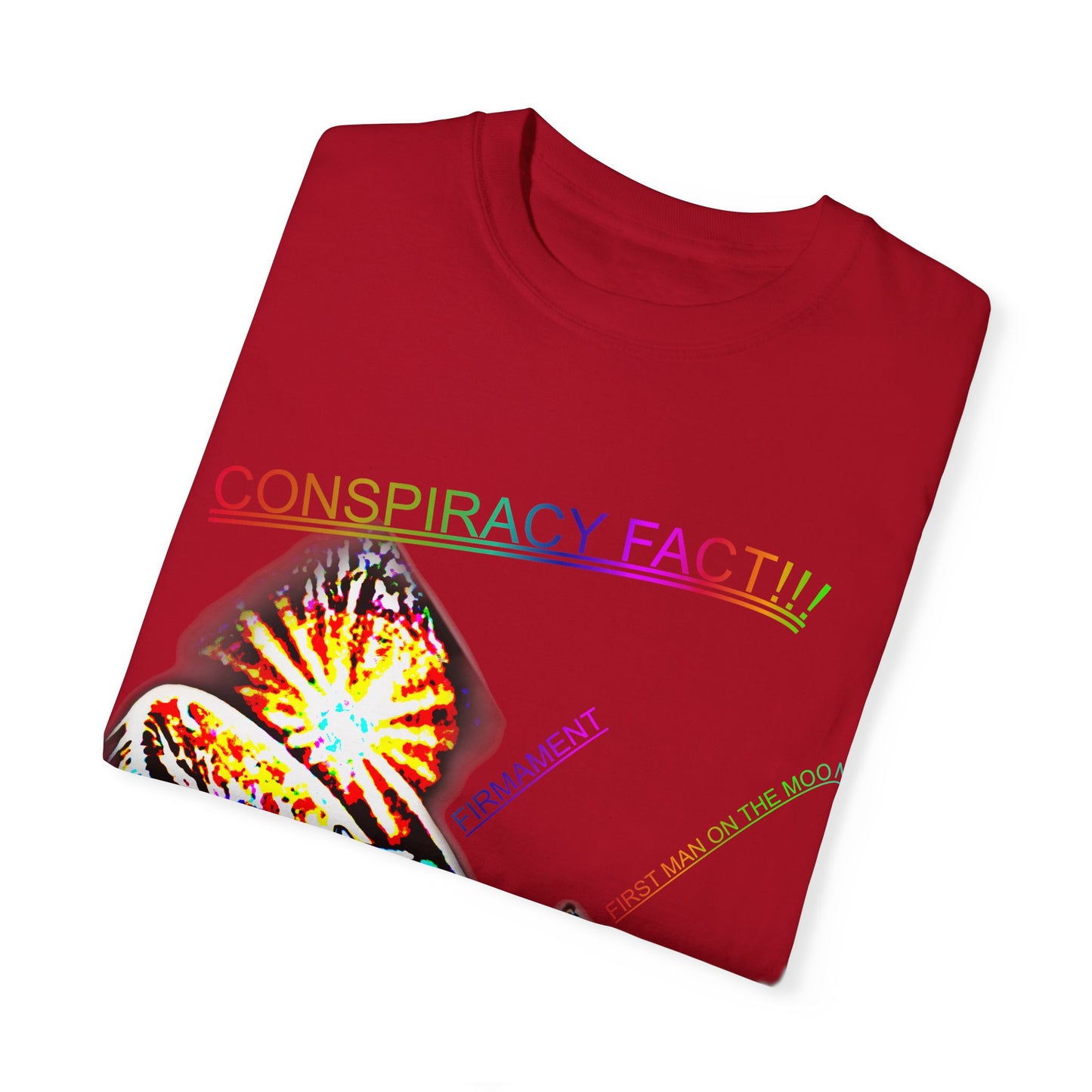 CONSPIRACY FACT FLAT EARTH Unisex Garment-Dyed T-shirt