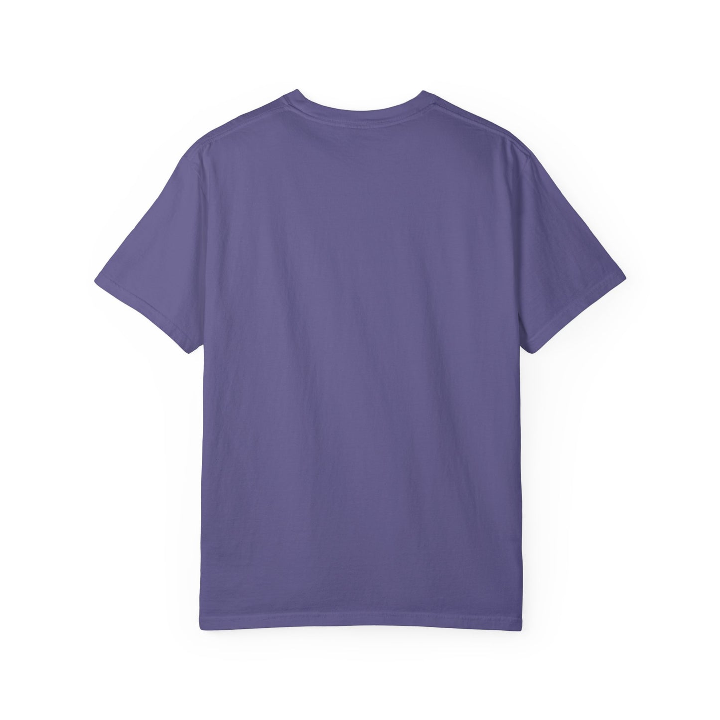 CONSPIRACY FACT FLAT EARTH Unisex Garment-Dyed T-shirt