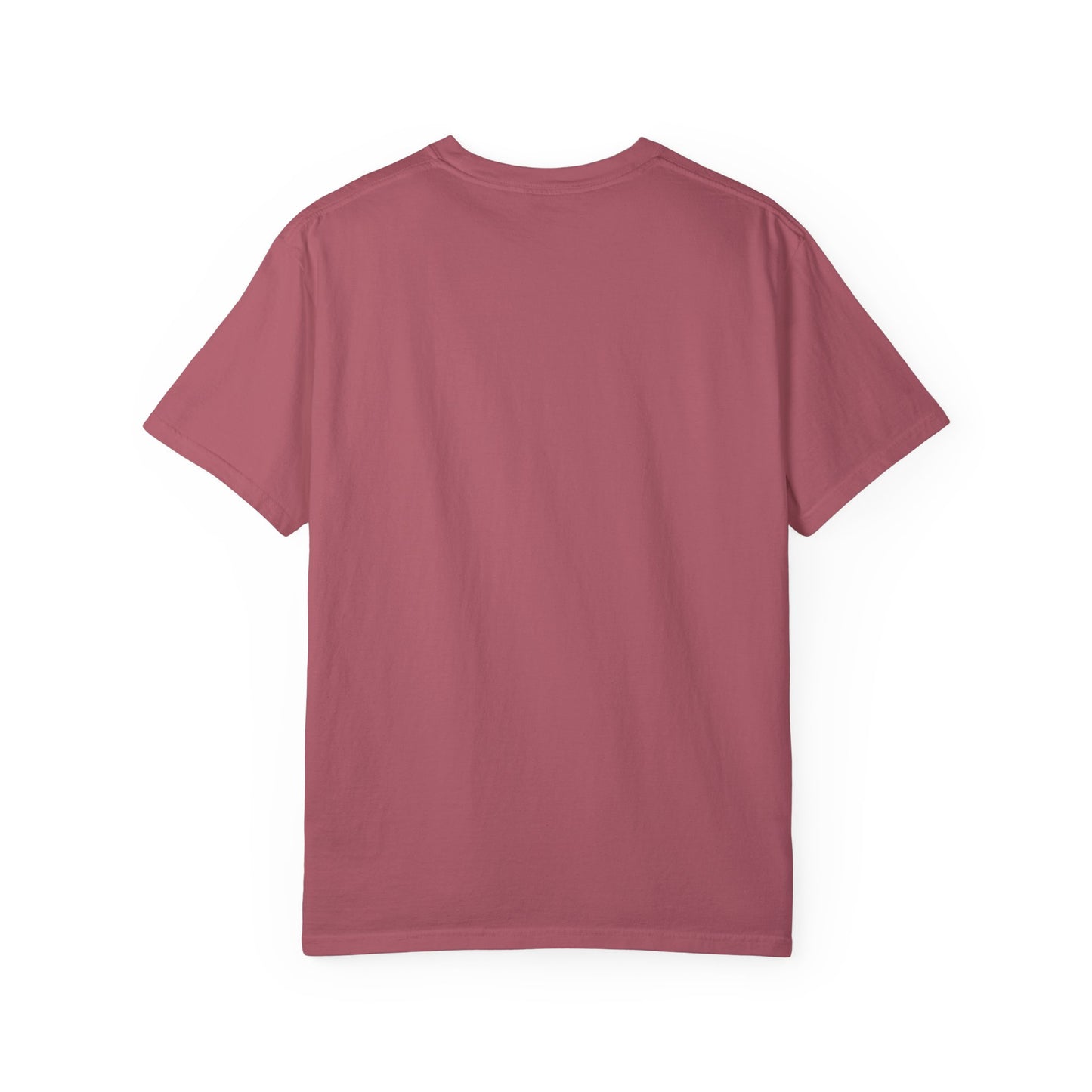 Company Ladder Unisex Garment-Dyed T-shirt - Motivational Tee for Career Growth