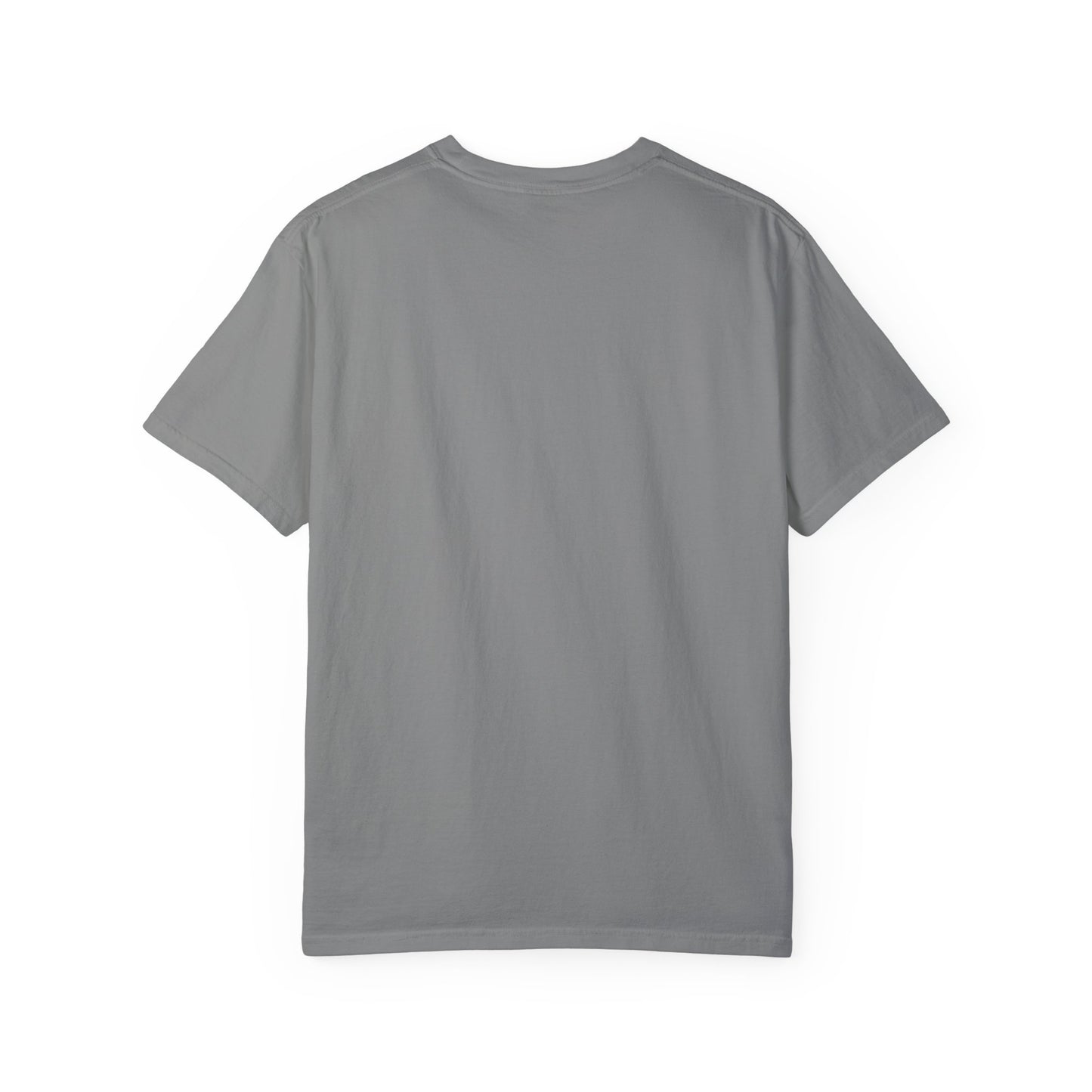 CONSPIRACY FACT FLAT EARTH Unisex Garment-Dyed T-shirt